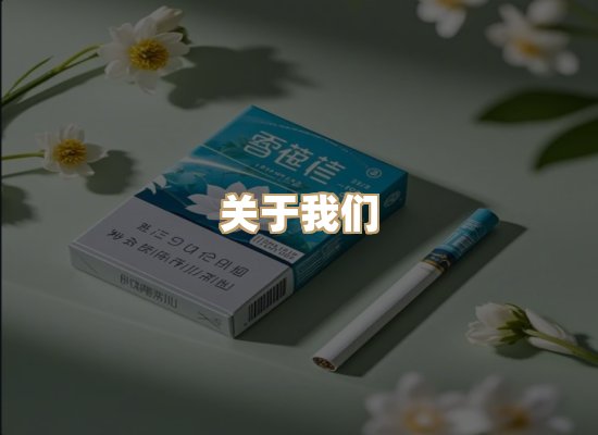 关于御龙烟网